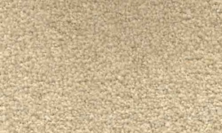 lifestyle Allure 303 OYSTER carpet